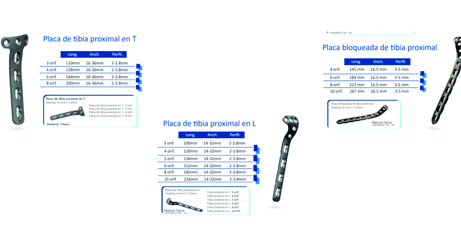 Lorem ipsum dolor sit amet