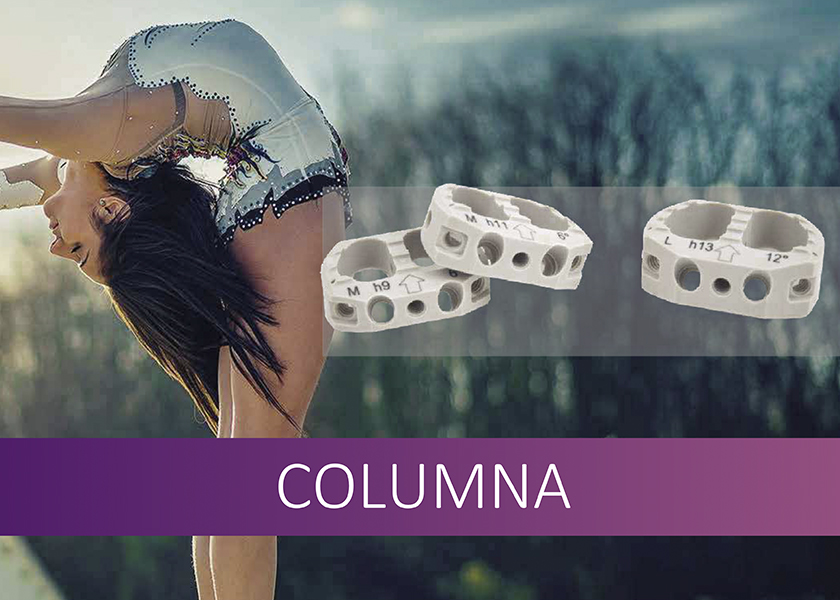 Welcome to magic Istria